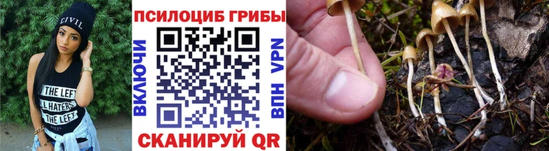 дарнет шоп  Городец  Псилоцибиновые грибы мухоморы 